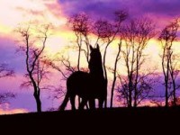 /album/fenykepgaleria/images-2-jpg/